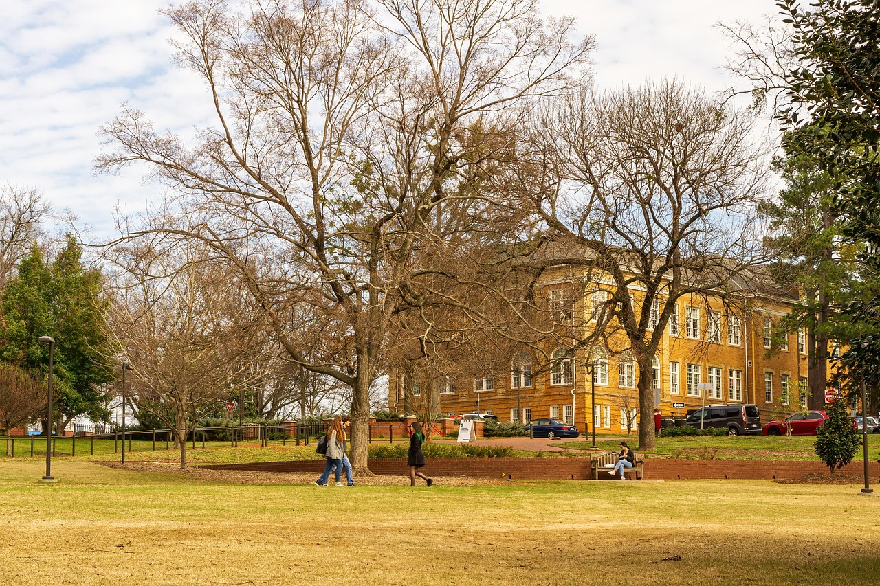 nc state, north carolina state, nc state campus, university, education, academic, carolina, students, landmark, nc, campus, state, schools, quarantine, school closure, college, social distancing, spring semester, nc state, nc state, nc state, university, campus, campus, campus, campus, campus, school closure, spring semester